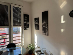 Apartman u Pašićevoj